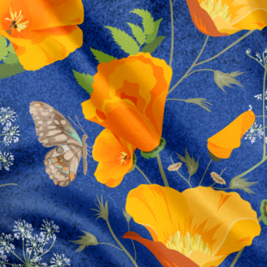 California Poppies on Blue